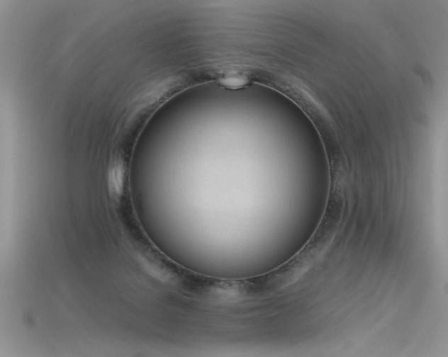X0000115660076200911121222