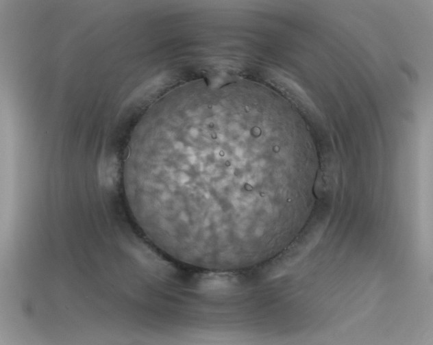 X0000115660077200911121222