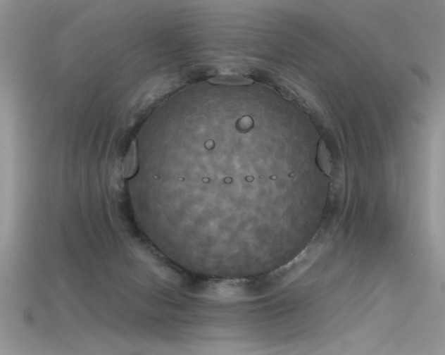 X0000115660078200911121222