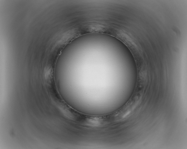 X0000115660079200911121222