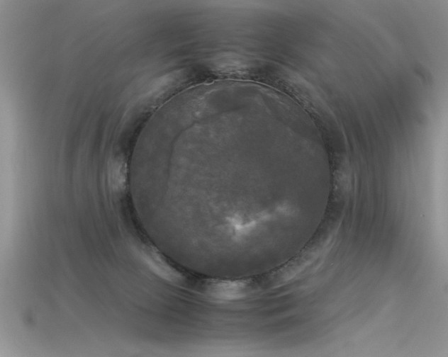 X0000115660081200911121222