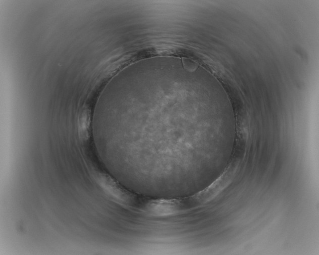 X0000115660082200911121222