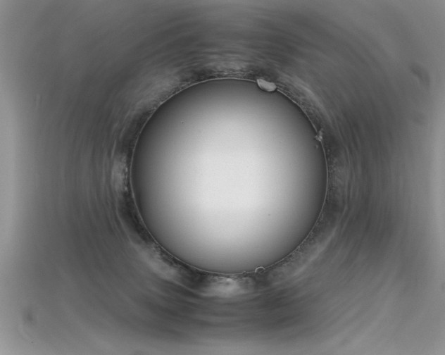 X0000115660083200911121222
