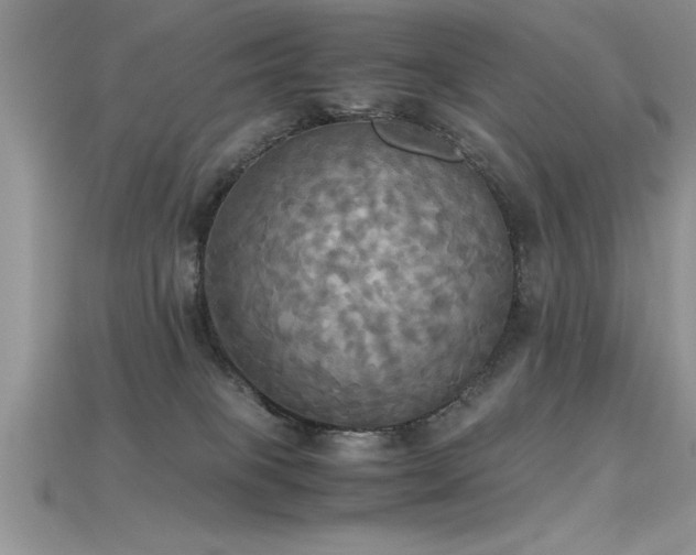 X0000115660085200911121222