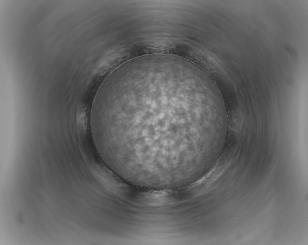 X0000115660086200911121222