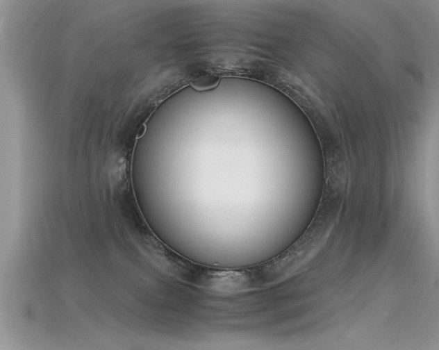 X0000115660087200911121222