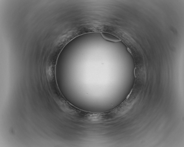 X0000115660088200911121222