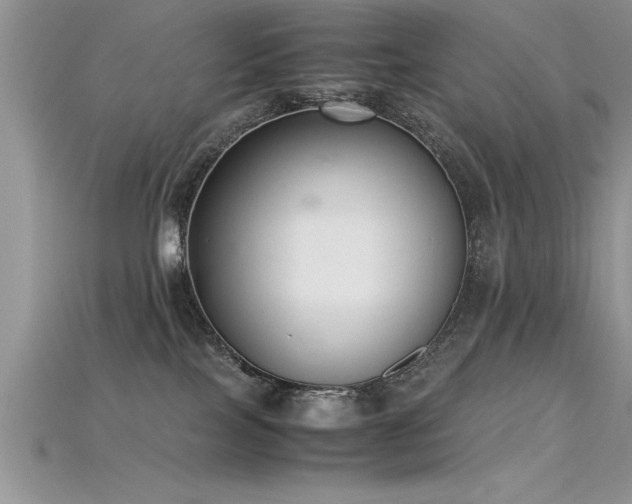 X0000115660089200911121222