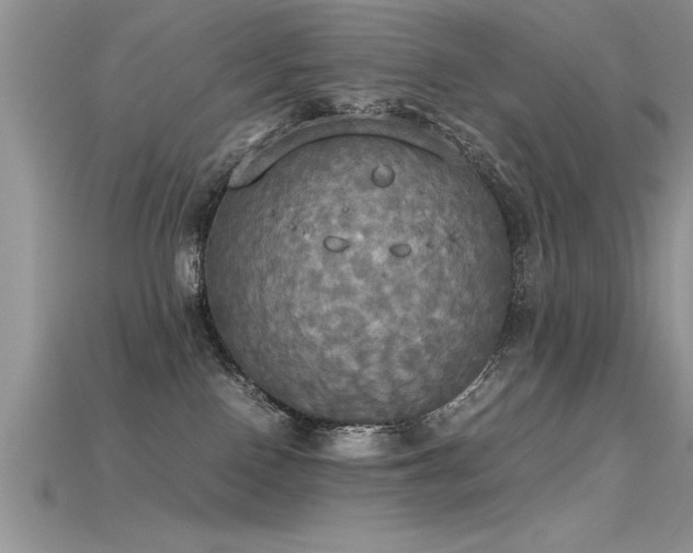 X0000115660090200911121222