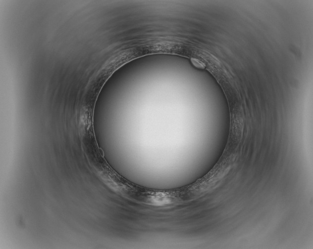 X0000115660091200911121222
