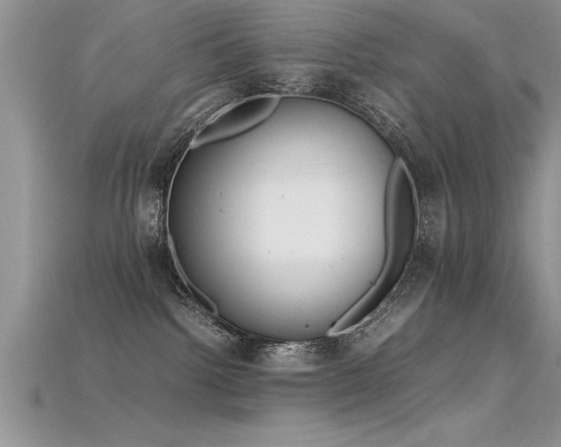 X0000115660092200911121222