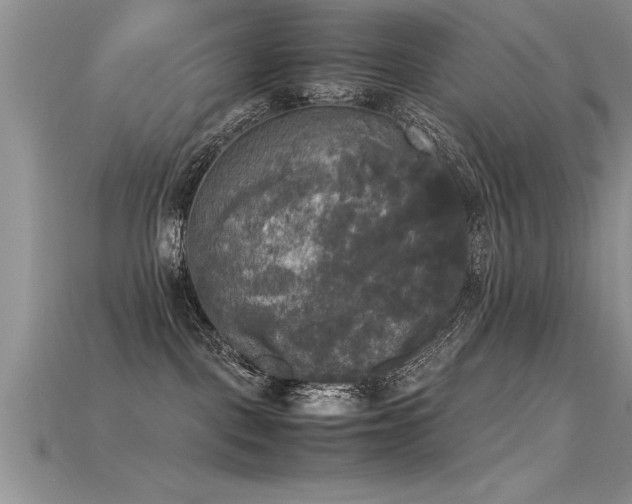 X0000115660093200911121222