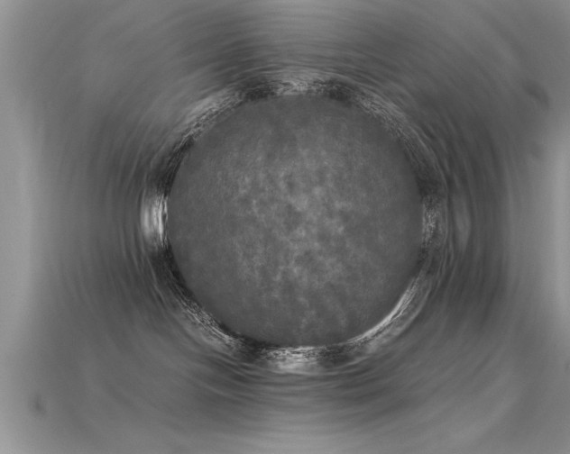 X0000115660094200911121222