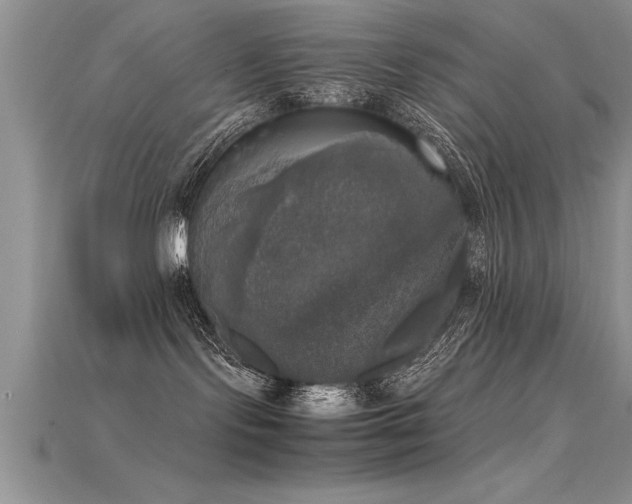 X0000115660095200911121222