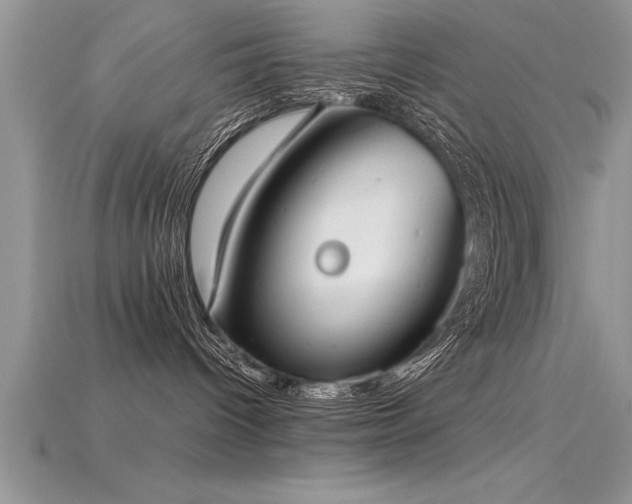 X0000115660096200911121223