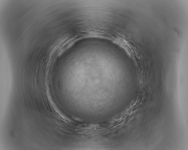 X0000115660097200911121222