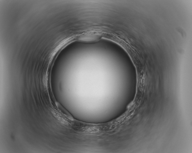 X0000115660100200911121222