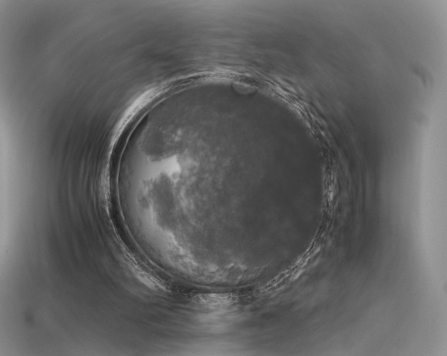 X0000115660102200911121222