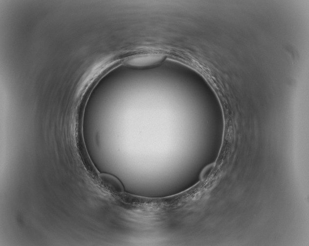 X0000115660103200911121222