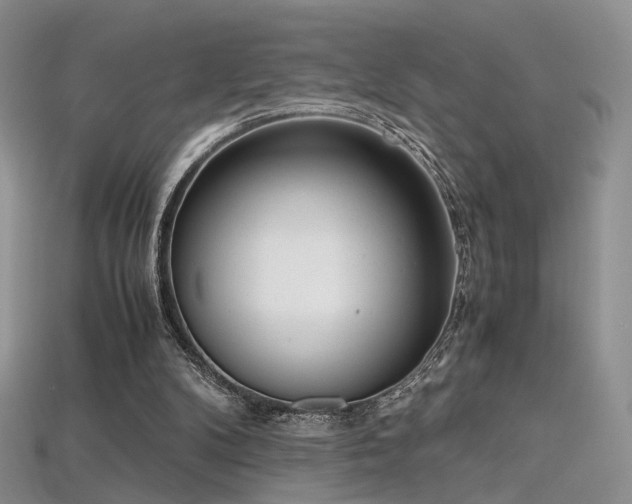 X0000115660104200911121222