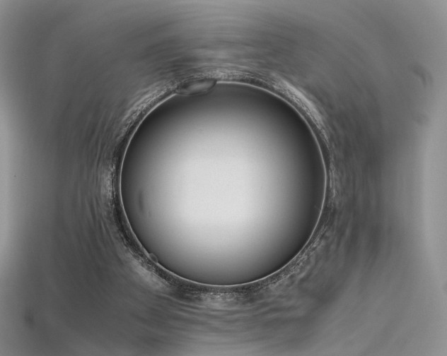 X0000115660105200911121222