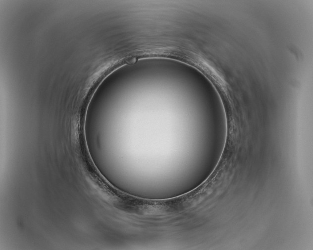 X0000115660107200911121222