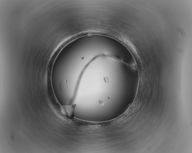 X0000115660108200911121222