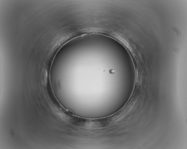 X0000115660109200911121222