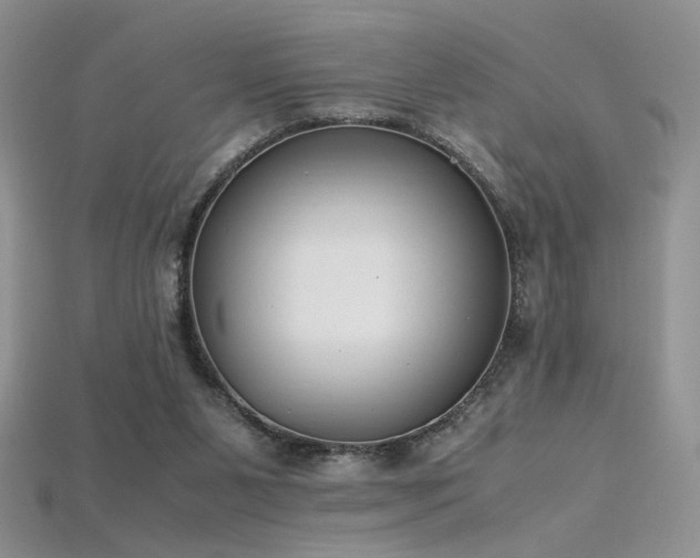 X0000115660111200911121222