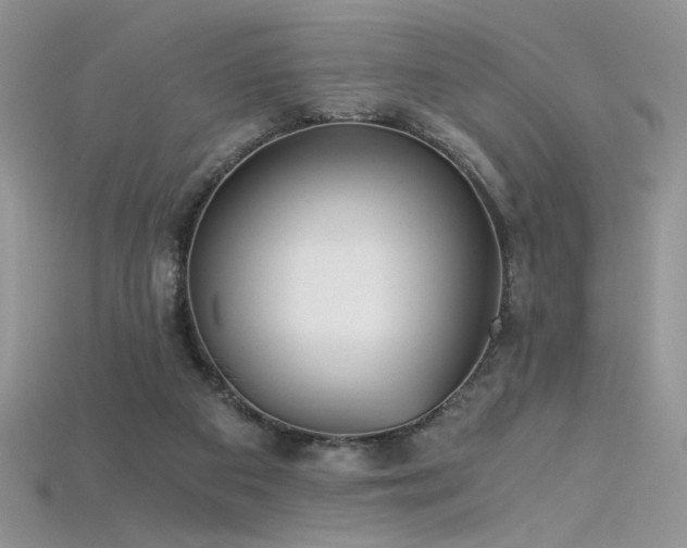 X0000115660113200911121222