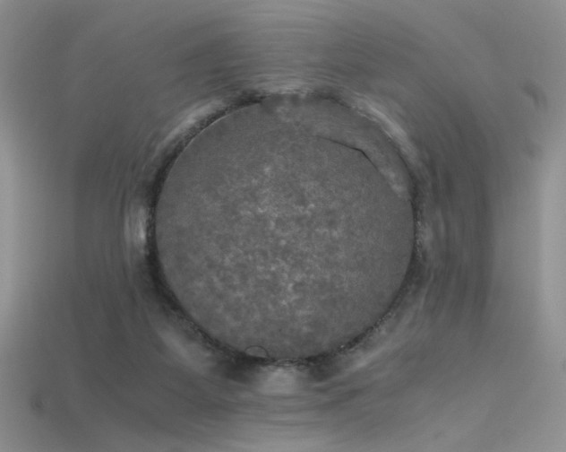 X0000115660115200911121222