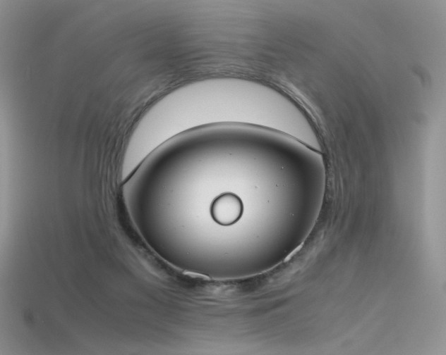 X0000115660117200911121222