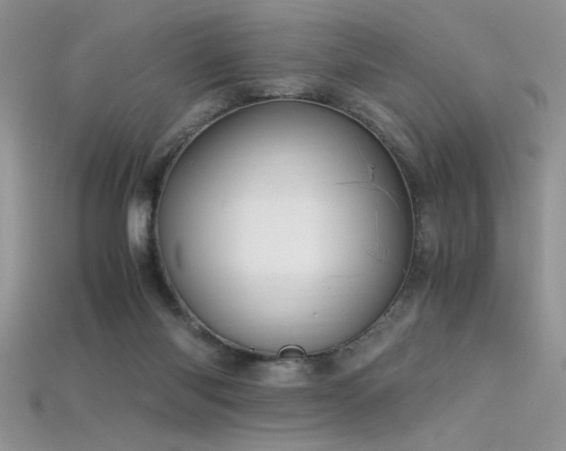 X0000115660118200911121222