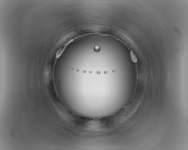 X0000115660119200911121222