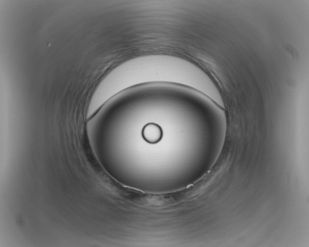 X0000115660121200911121222