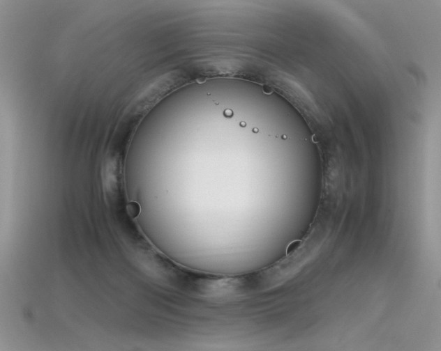 X0000115660122200911121222