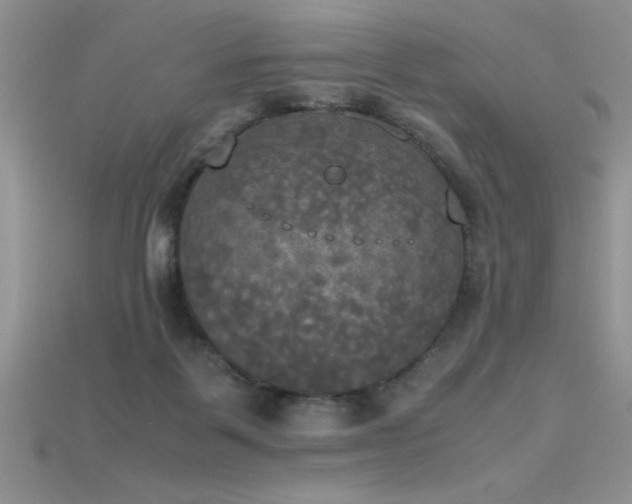 X0000115660123200911121222