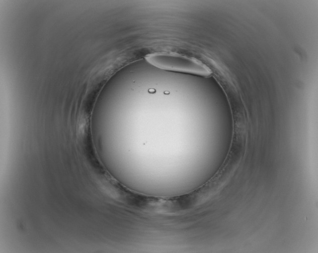 X0000115660125200911121222