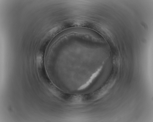 X0000115660127200911121222
