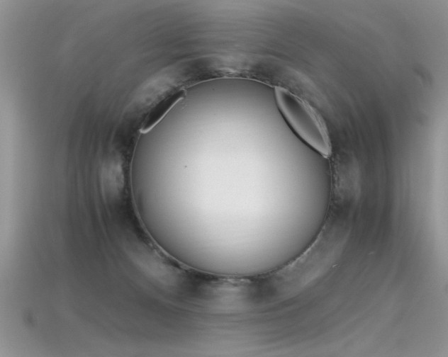 X0000115660128200911121221