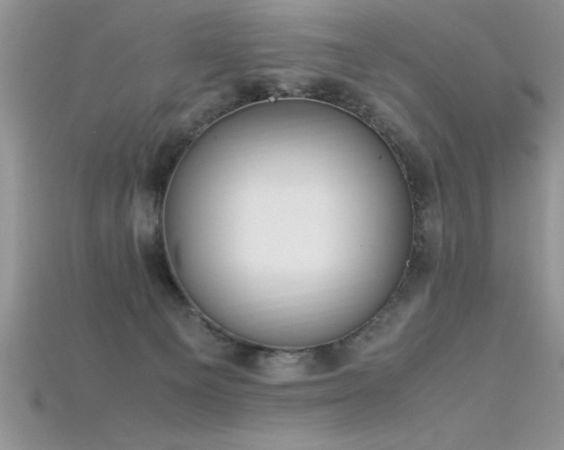 X0000115660129200911121221