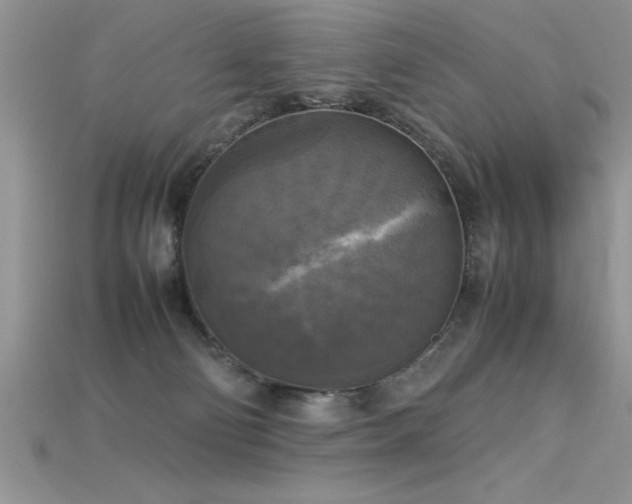 X0000115660130200911121221