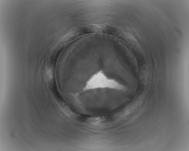 X0000115660131200911121221