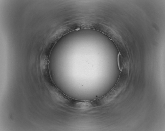 X0000115660133200911121221