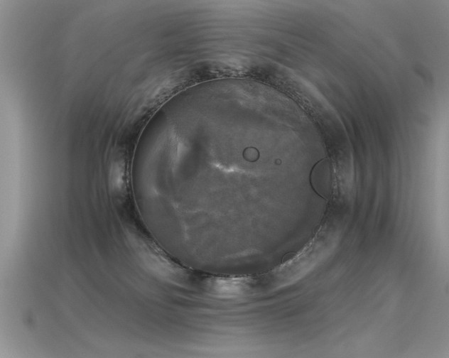 X0000115660134200911121221