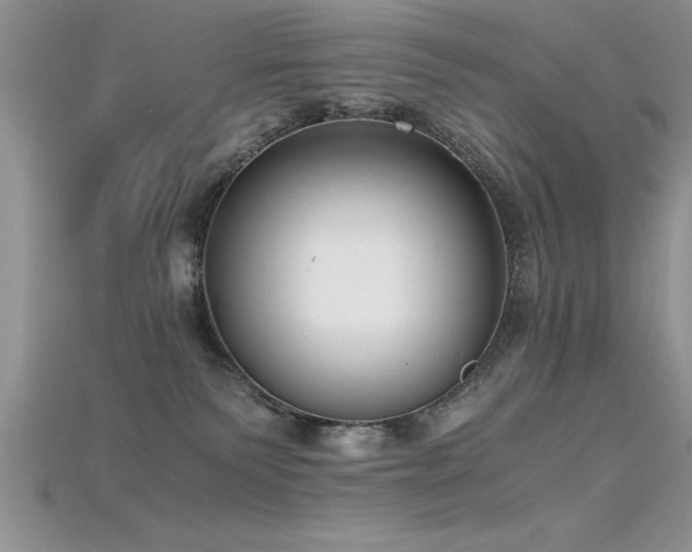 X0000115660135200911121221