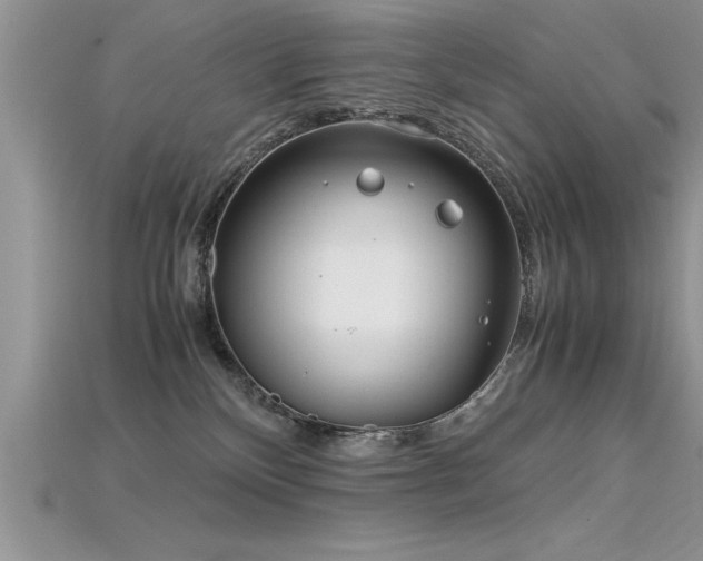 X0000115660136200911121221