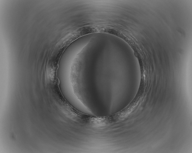 X0000115660139200911121221