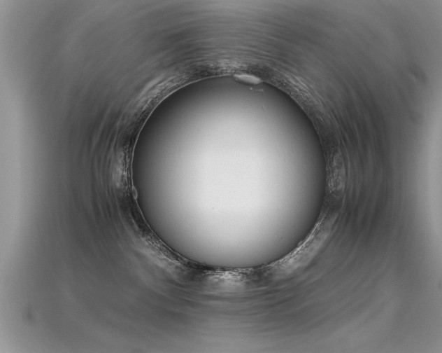X0000115660140200911121221