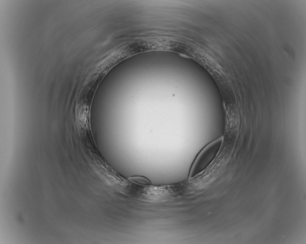 X0000115660141200911121221